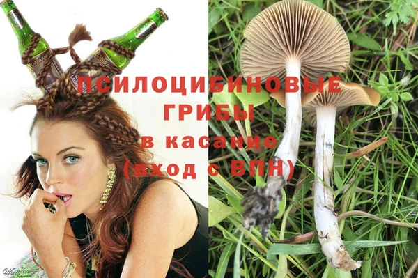 молекула духа Белокуриха