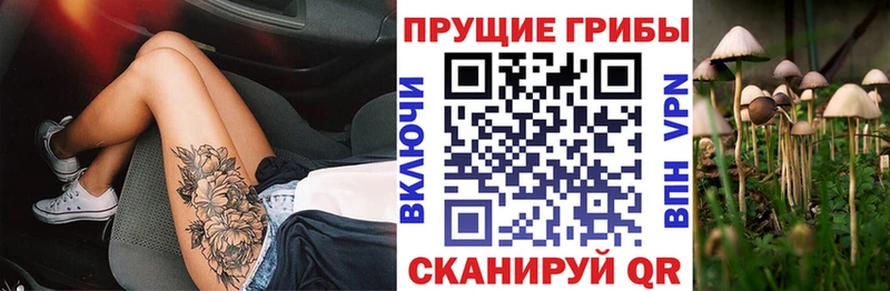 Псилоцибиновые грибы прущие грибы Орехово-Зуево
