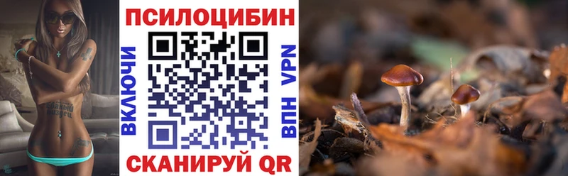 Галлюциногенные грибы мухоморы Орехово-Зуево